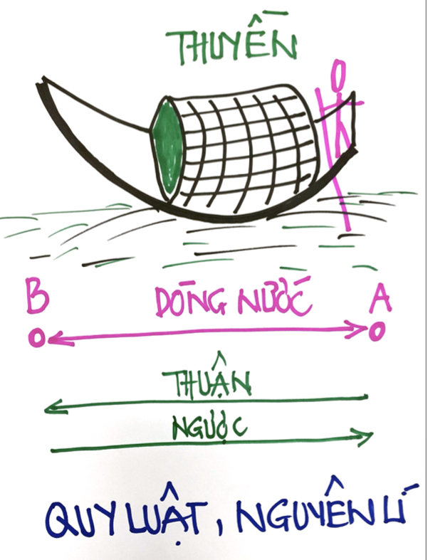 Tại sao việc chúng ta nên thuận theo quy luật và nguyên lý?