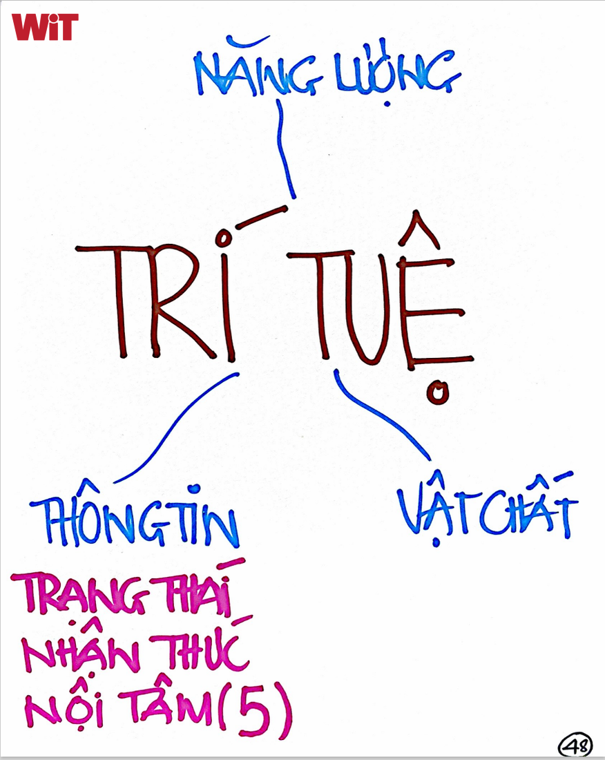 Xã hội hiện tại đánh giá quá cao từ trí tuệ, hiểu lầm là trí tuệ nó đến từ học vấn, tri thức.