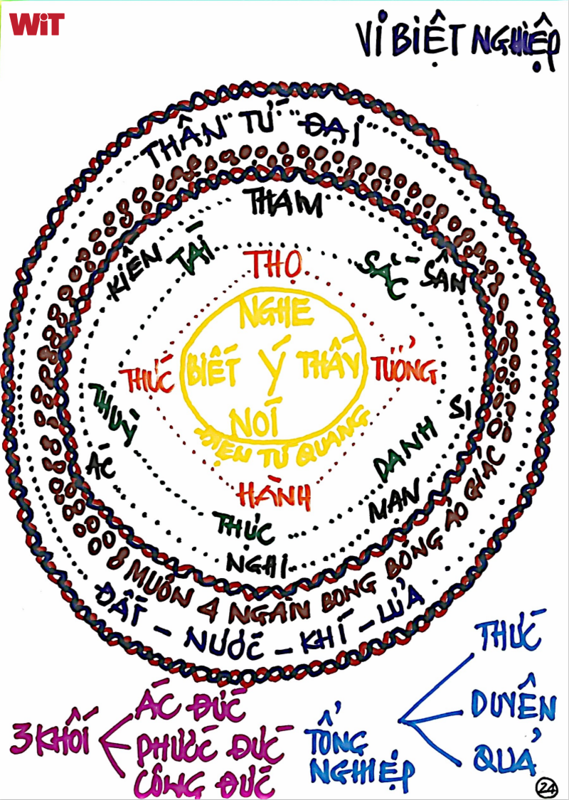 Cấu trúc con người