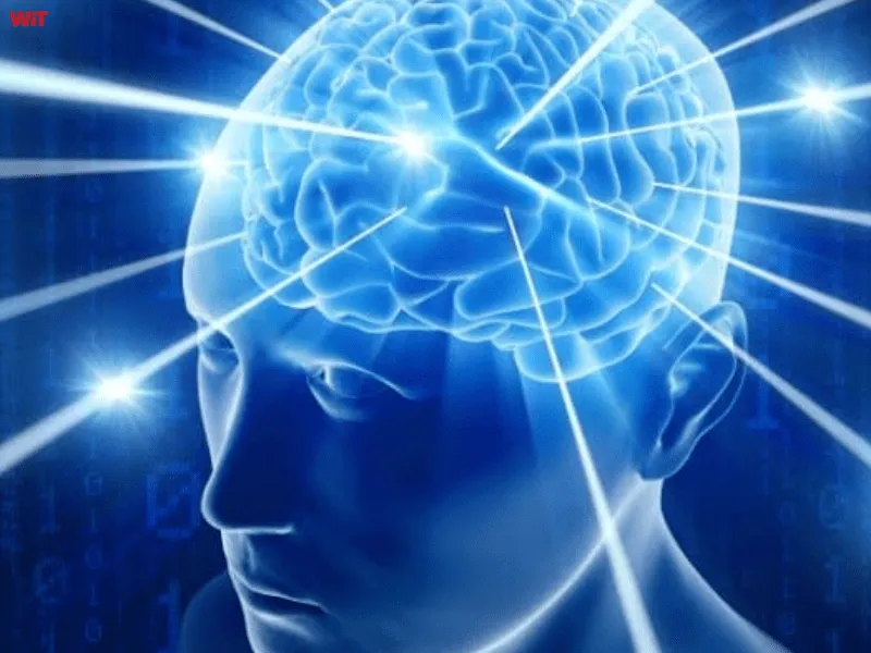Trạng thái nội tâm Trạng thái nội tâm