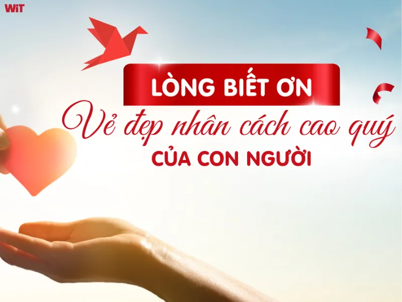 Biểu hiện của người đạt tâm thái trân trọng biết ơn Biểu hiện của người đạt tâm thái trân trọng biết ơn