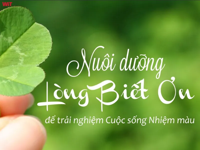 Phương pháp rèn luyện để đạt tâm thái trân trọng biết ơn Phương pháp rèn luyện để đạt tâm thái trân trọng biết ơn
