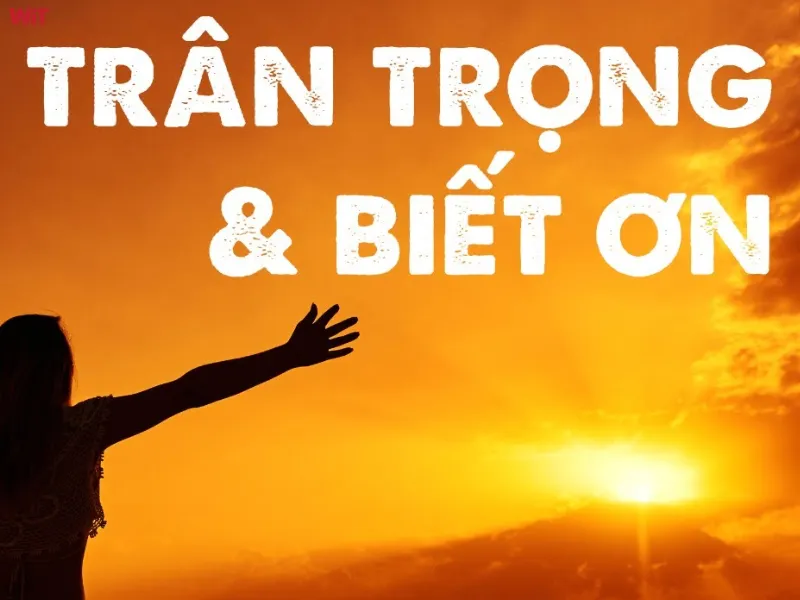 Tâm thái trân trọng biết ơn là gì? Tâm thái trân trọng biết ơn là gì?