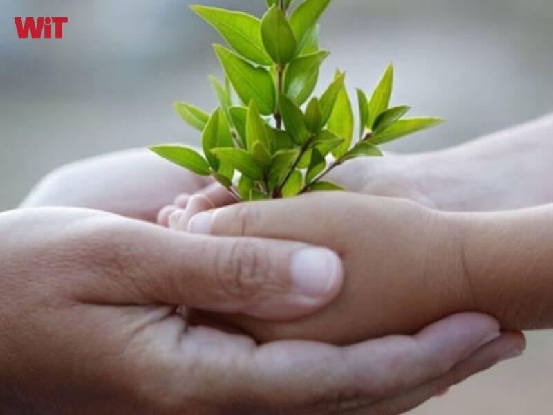 Người xứng đáng được bao dung nhất là bản thân mình