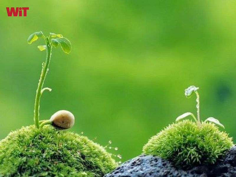 Gánh vác sứ mệnh và đồng hành